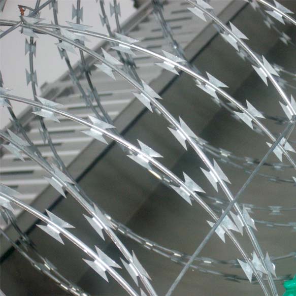 監(jiān)獄刺繩圍墻網(wǎng)  圍墻防爬刺刀網(wǎng)詳細介紹圖片1