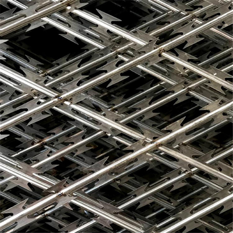 監獄菱形孔隔離網圖片4