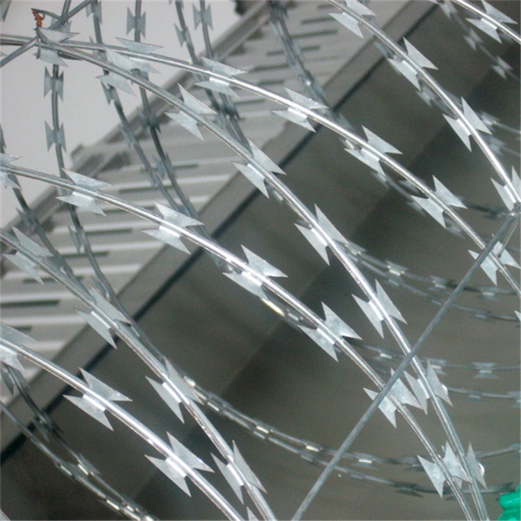 監獄刀刺網圖片2