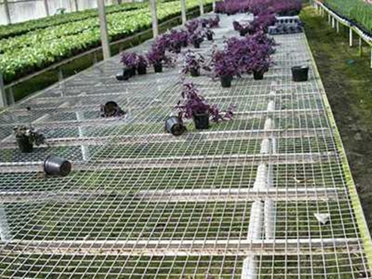 溫室苗圃網圖片1