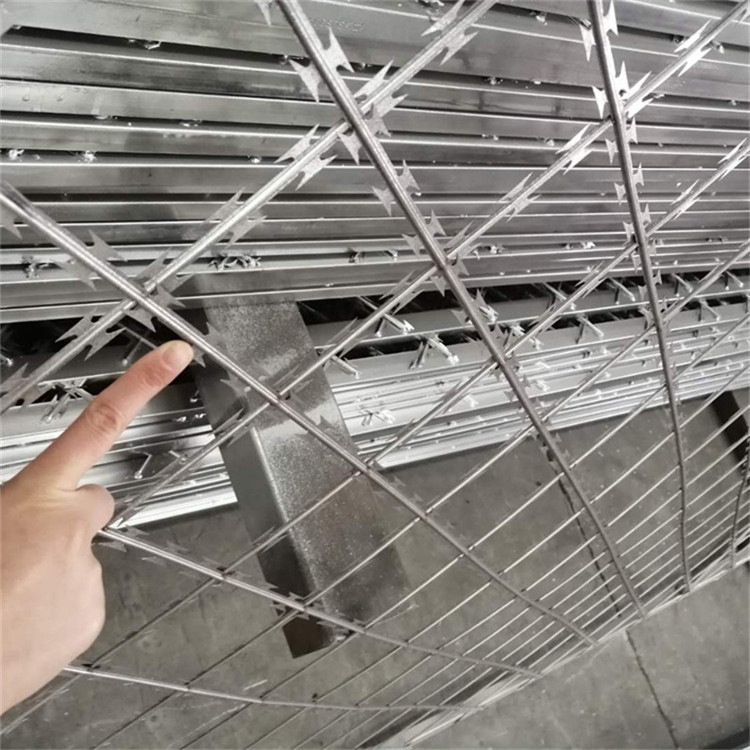 監(jiān)獄刀片鋼網墻圖片2