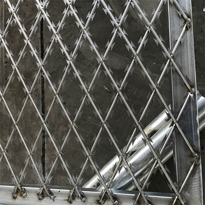 監(jiān)獄刀片鋼網墻圖片3