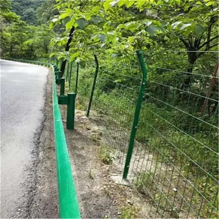 雙邊絲護欄網圖片2