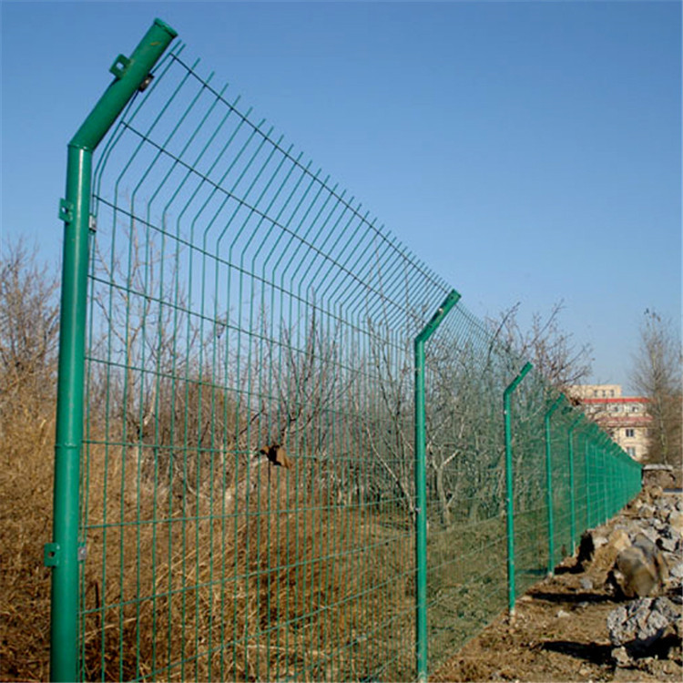 1.8米浸塑鐵絲網圖片1